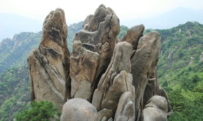 다운로드 (6).jpg