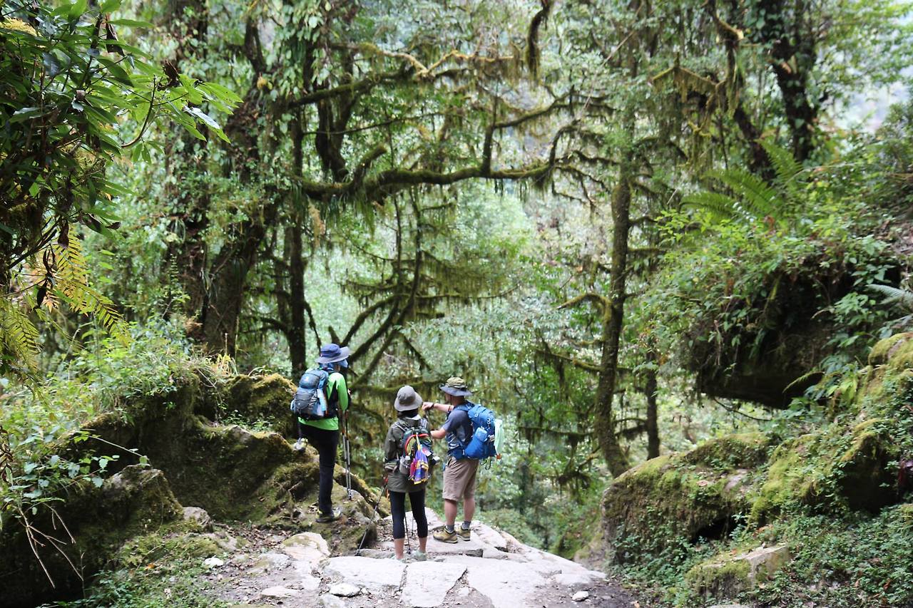 히말라야 프로젝트_010.jpg