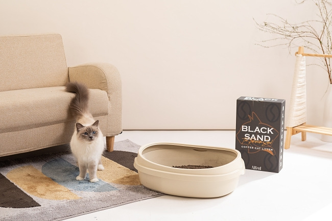 ALFRED 0223-1175.jpg