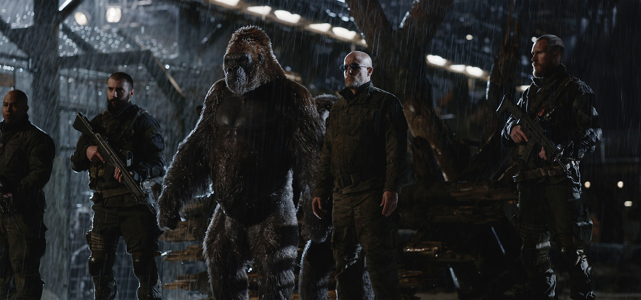 War-Planet-Apes-4.jpg