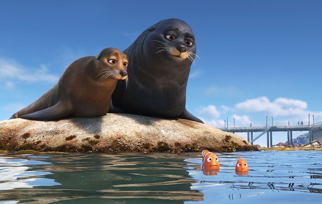 FindingDorySeals.0.jpg