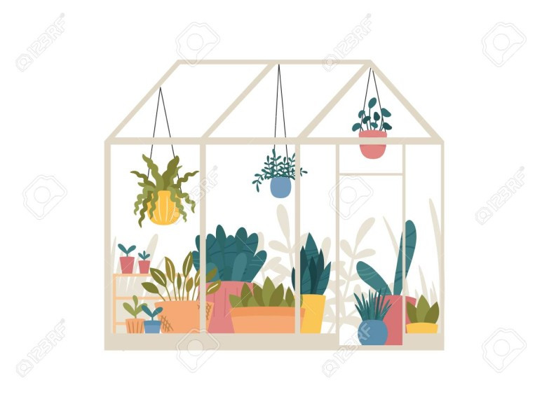 127708664-greenhouse-with-potted-and-hanging-garden-plants-vector-illustrati.jpg