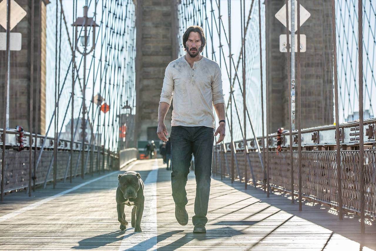 john-wick-2-keanu-reeves-dog-image.jpg
