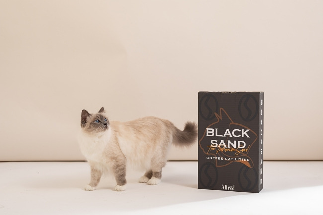 ALFRED 0223-1288.jpg