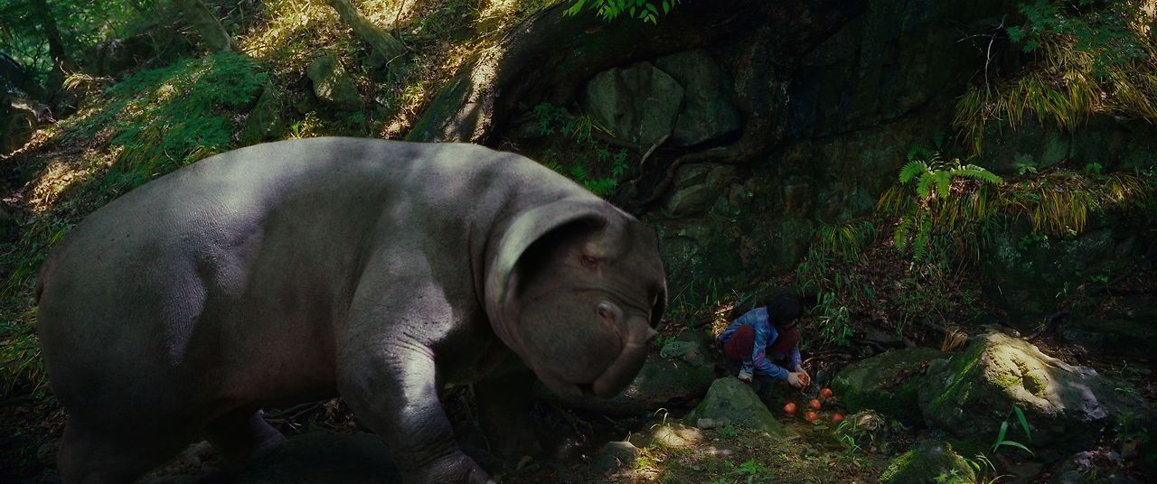 OKJA-FF2-007.jpg