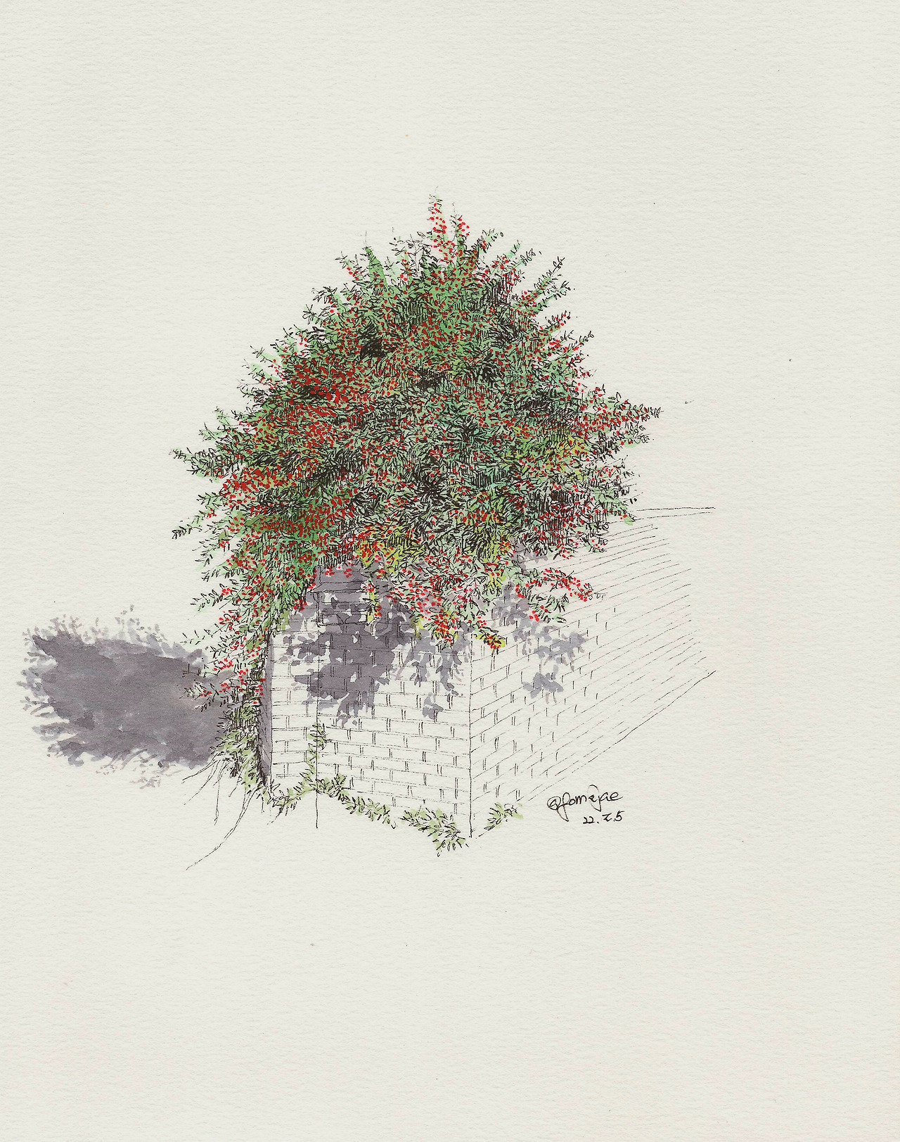 220205-드로잉-호랑가시나무 심원.jpg