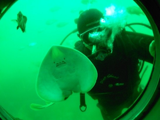 마라도 잠수함.jpg