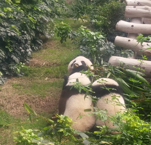 사본 -20170817_110713.jpg