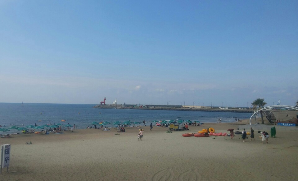 이호테우 해수욕장.jpg