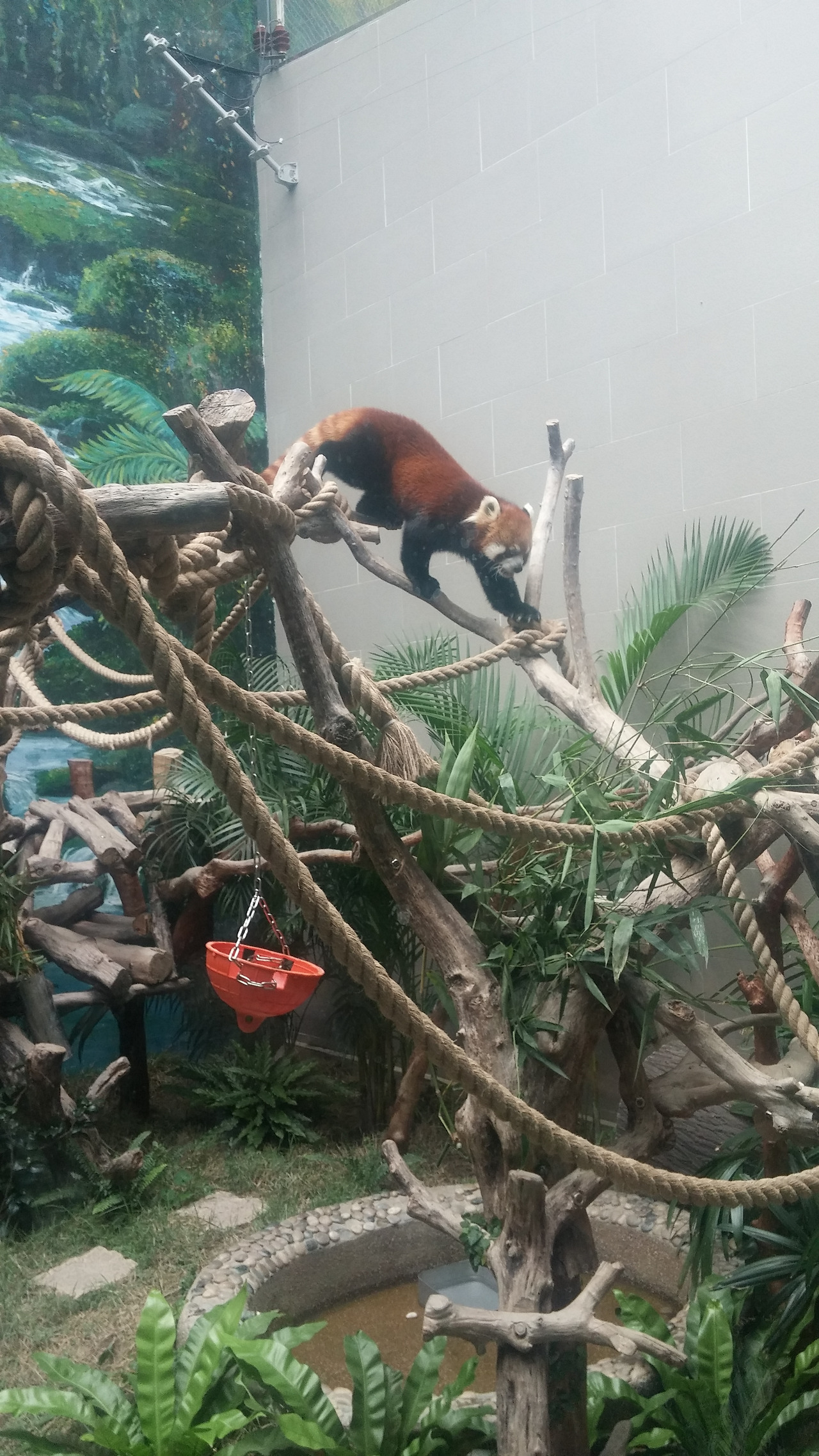 사본 -20170817_114329.jpg