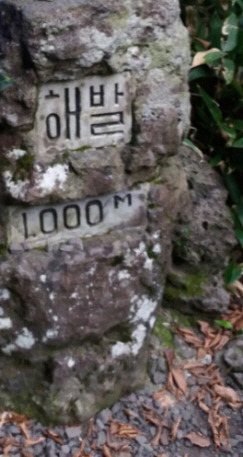 4.해발 1000.jpg