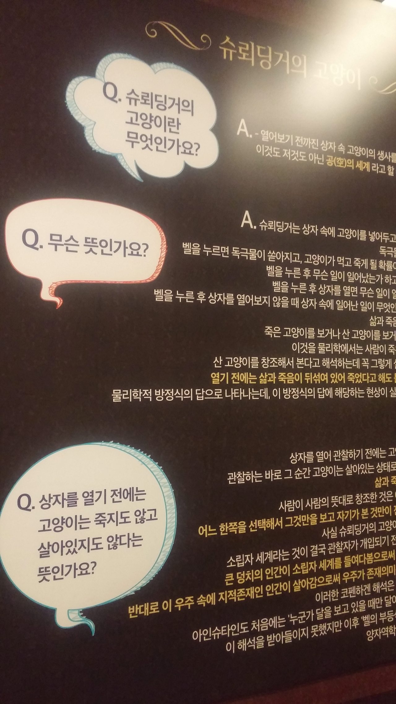 슈뢰딩거의 고양이.jpg