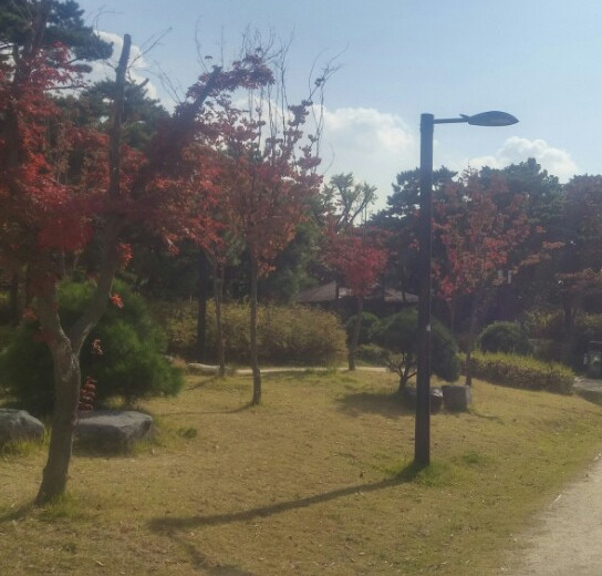 사본 -KakaoTalk_20171024_185024290.jpg