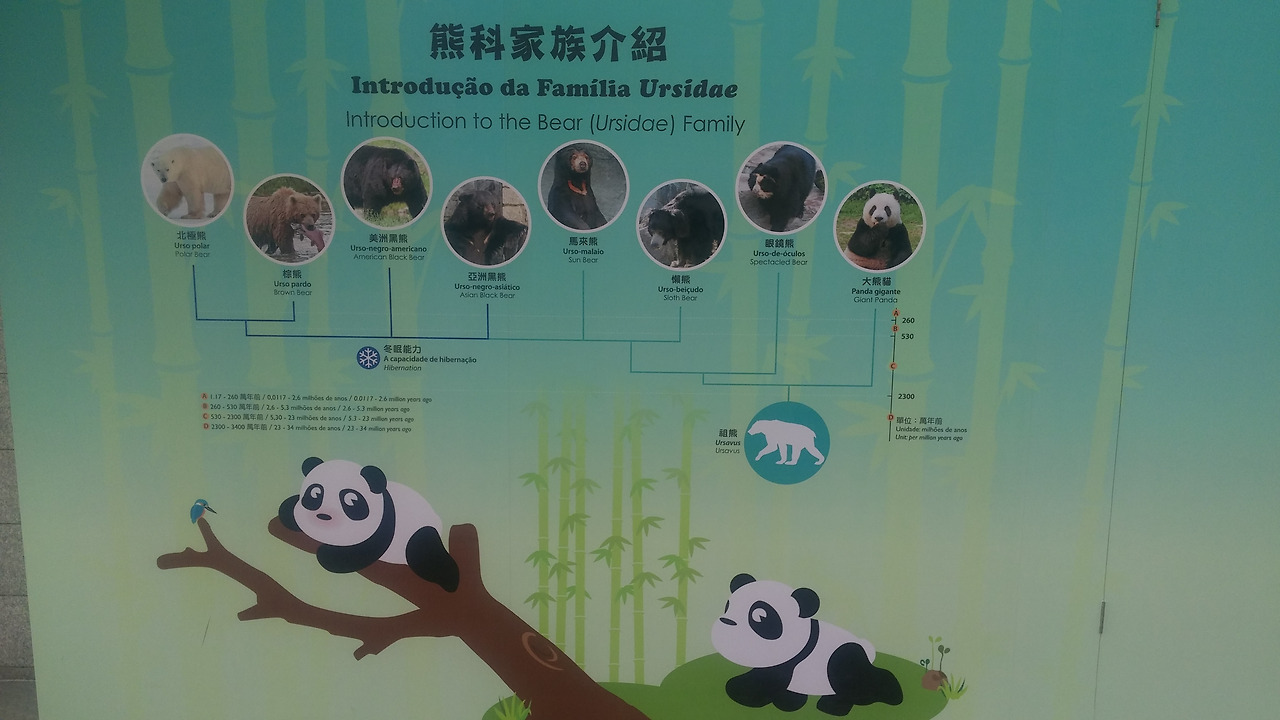 사본 -20170817_113113.jpg