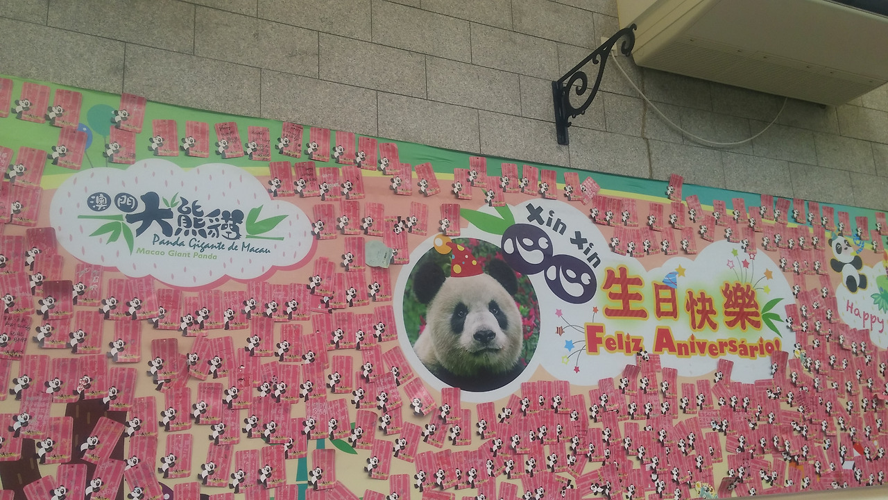 사본 -20170817_113037.jpg