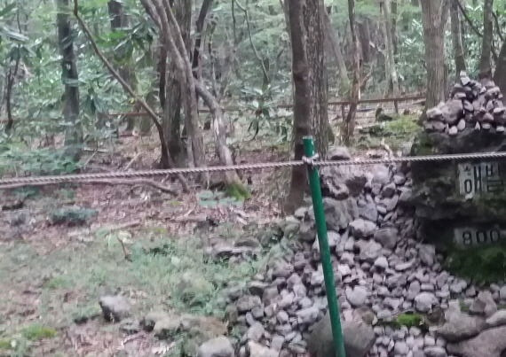 해발800.jpg