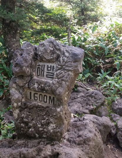 해발1600.jpg
