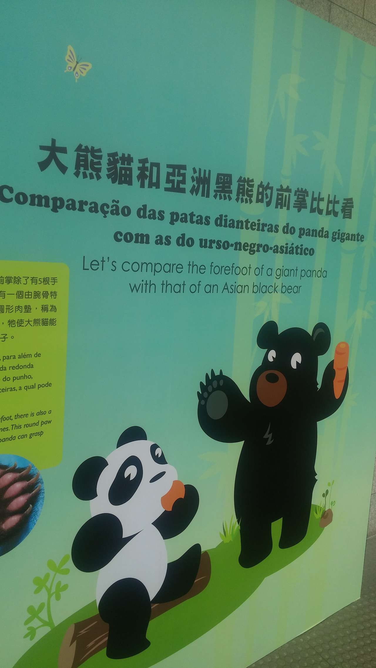 사본 -20170817_113147.jpg