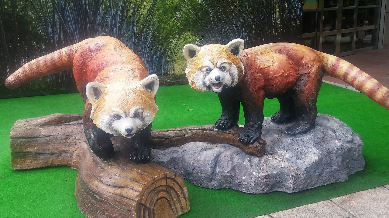 사본 -20170817_114203.jpg