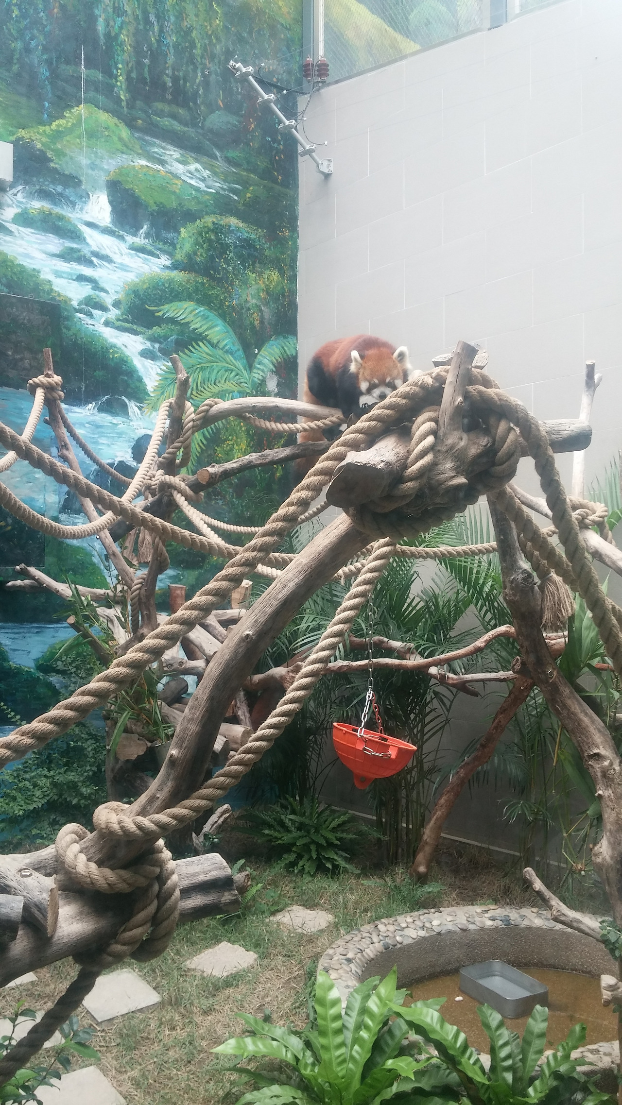 사본 -20170817_114320.jpg