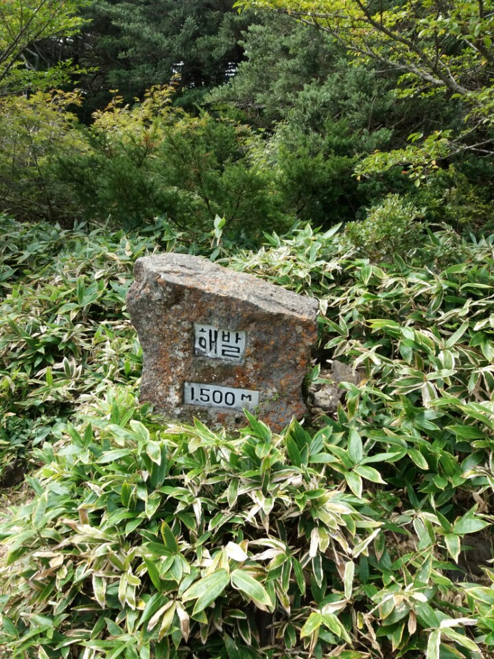 6.해발1500.jpg