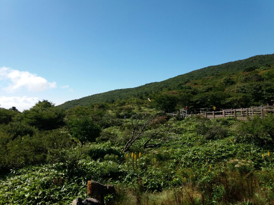 9. 성판악 코스등산로.jpg