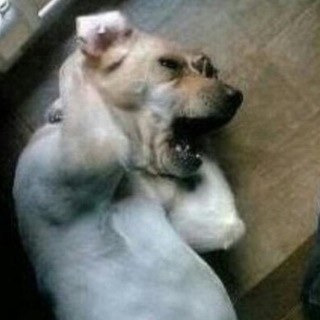 아무도 모른다_짤방.jpg