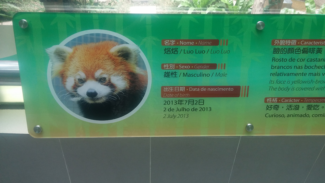 사본 -20170817_114347.jpg