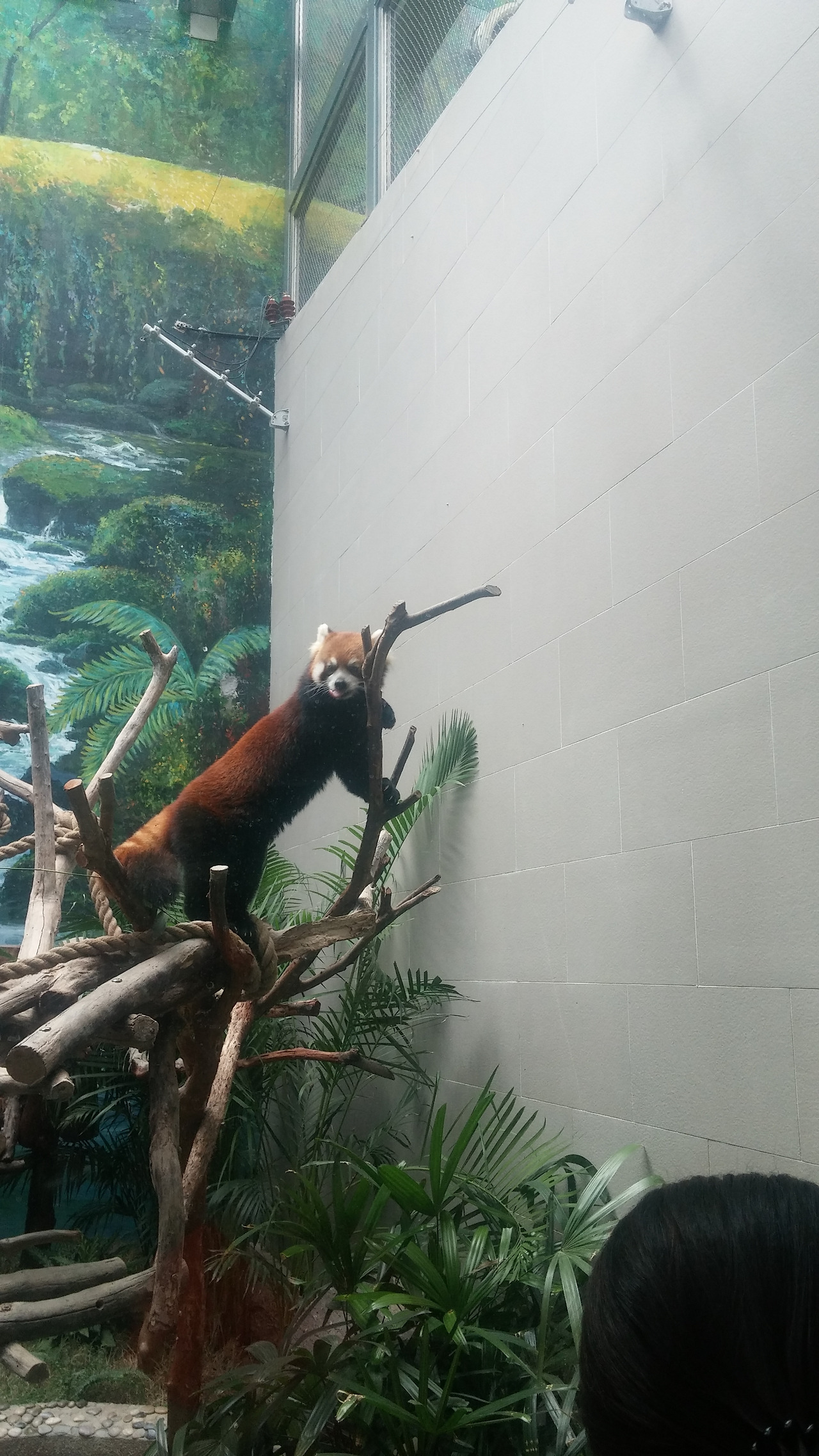 사본 -20170817_114448.jpg