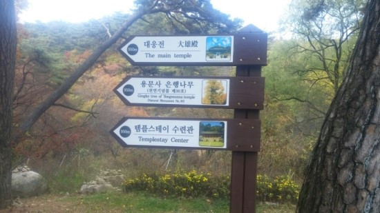 은행나무 이정표.jpg