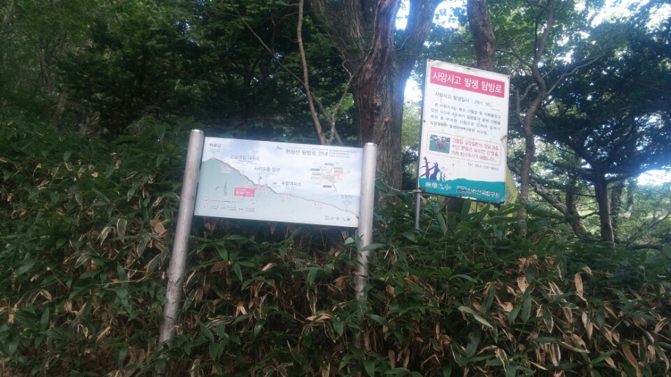 13.사망사고 탐방로.jpg