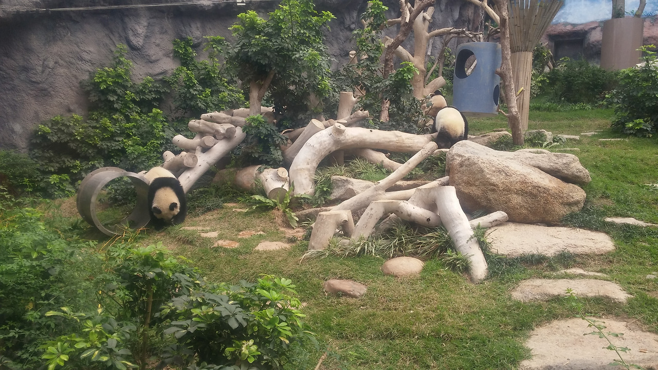 사본 -20170817_112439(1).jpg