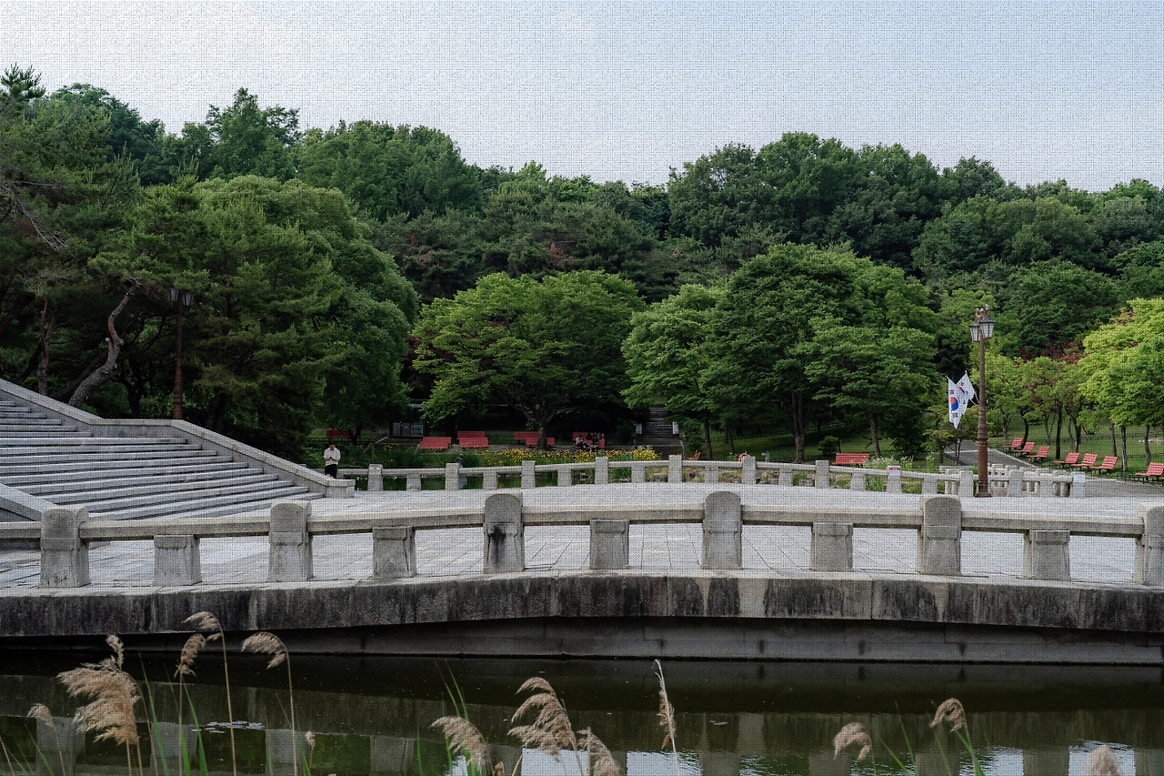 #summer #13 A7C03375.jpg