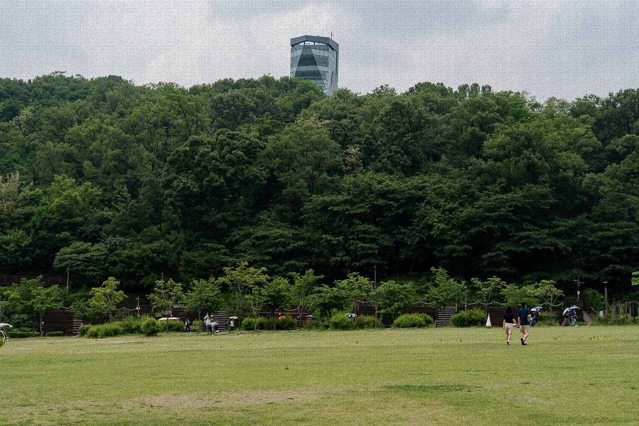 #summer #13 A7C03221.jpg