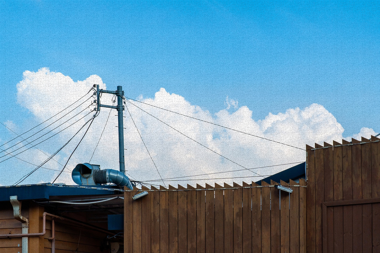 #summer #23 DSC05589.jpg