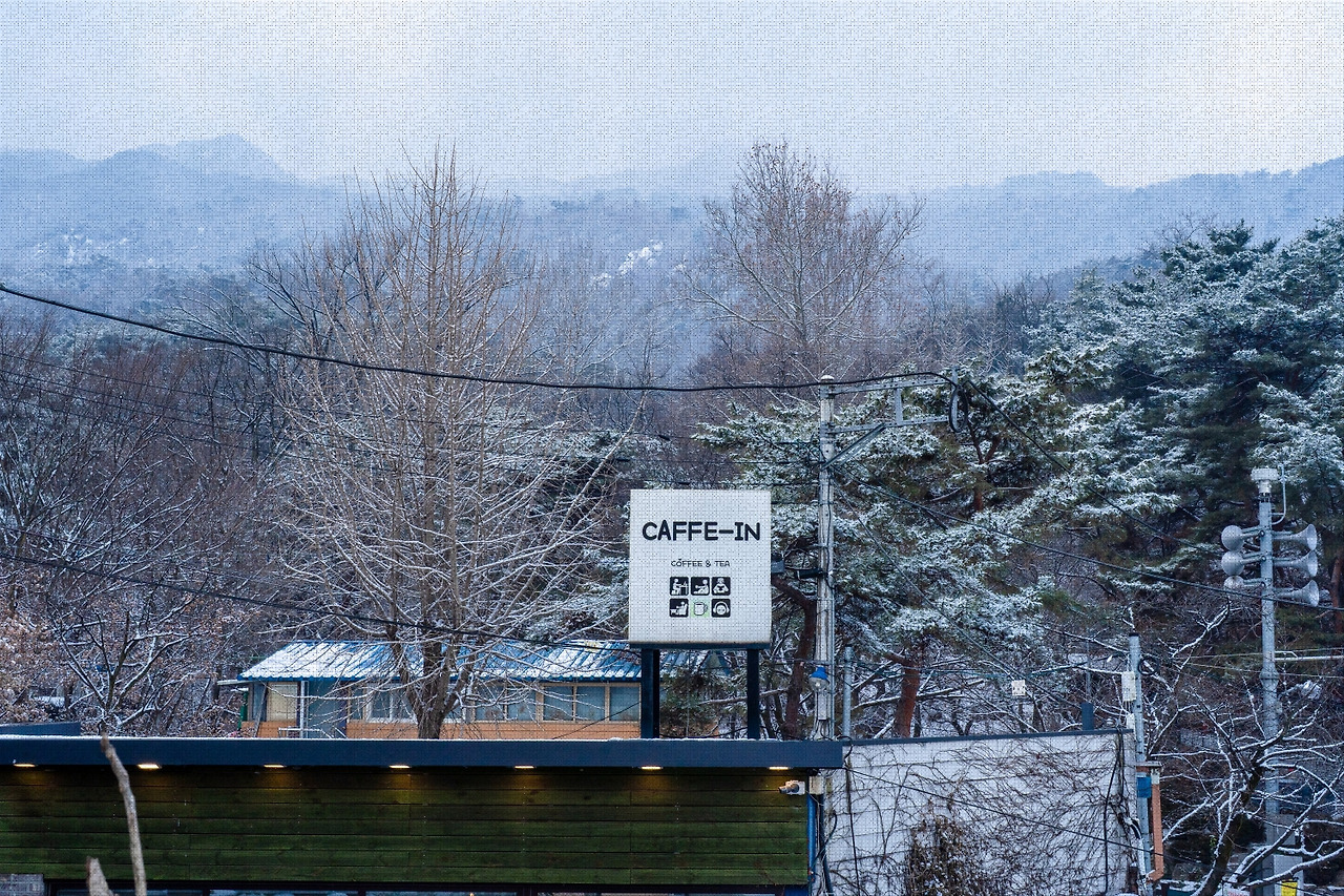 #winter #7 DSC07253.jpg