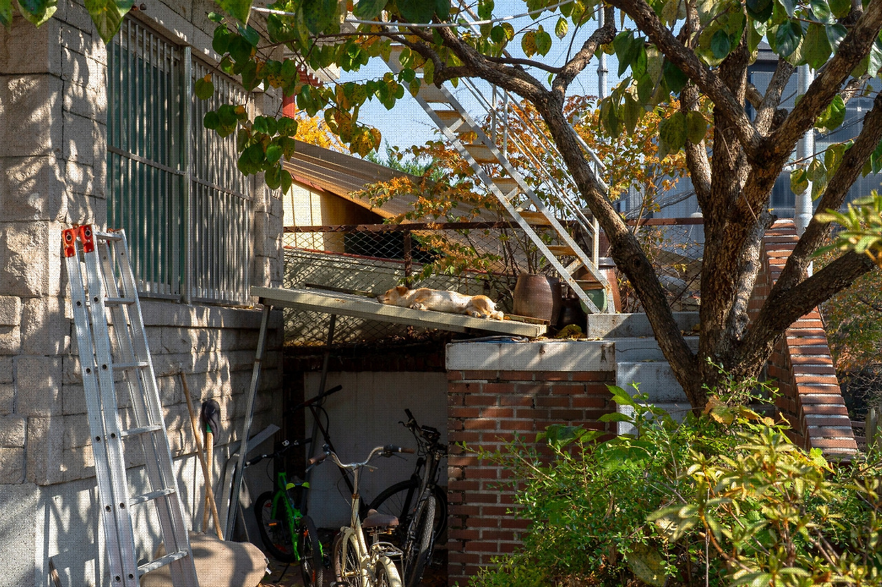 #autumn #18 DSC06564.jpg