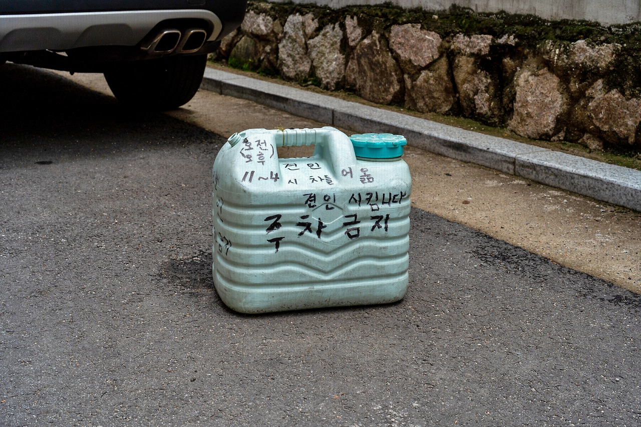 #spring #11 DSC04656.jpg