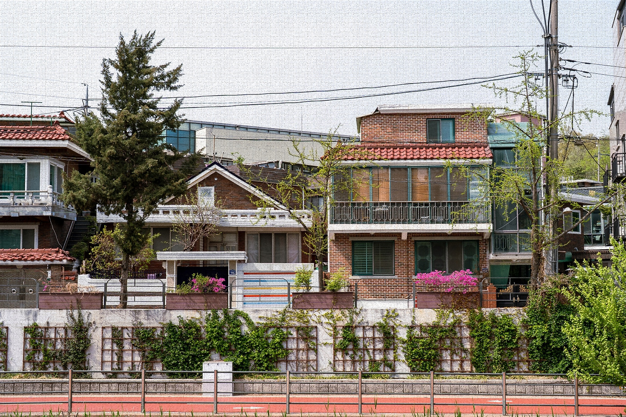 #spring #19 A7C03003.jpg