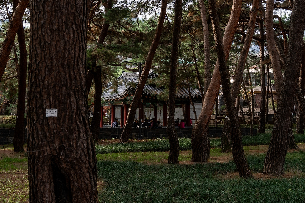 #autumn #10 A7C01696.jpg