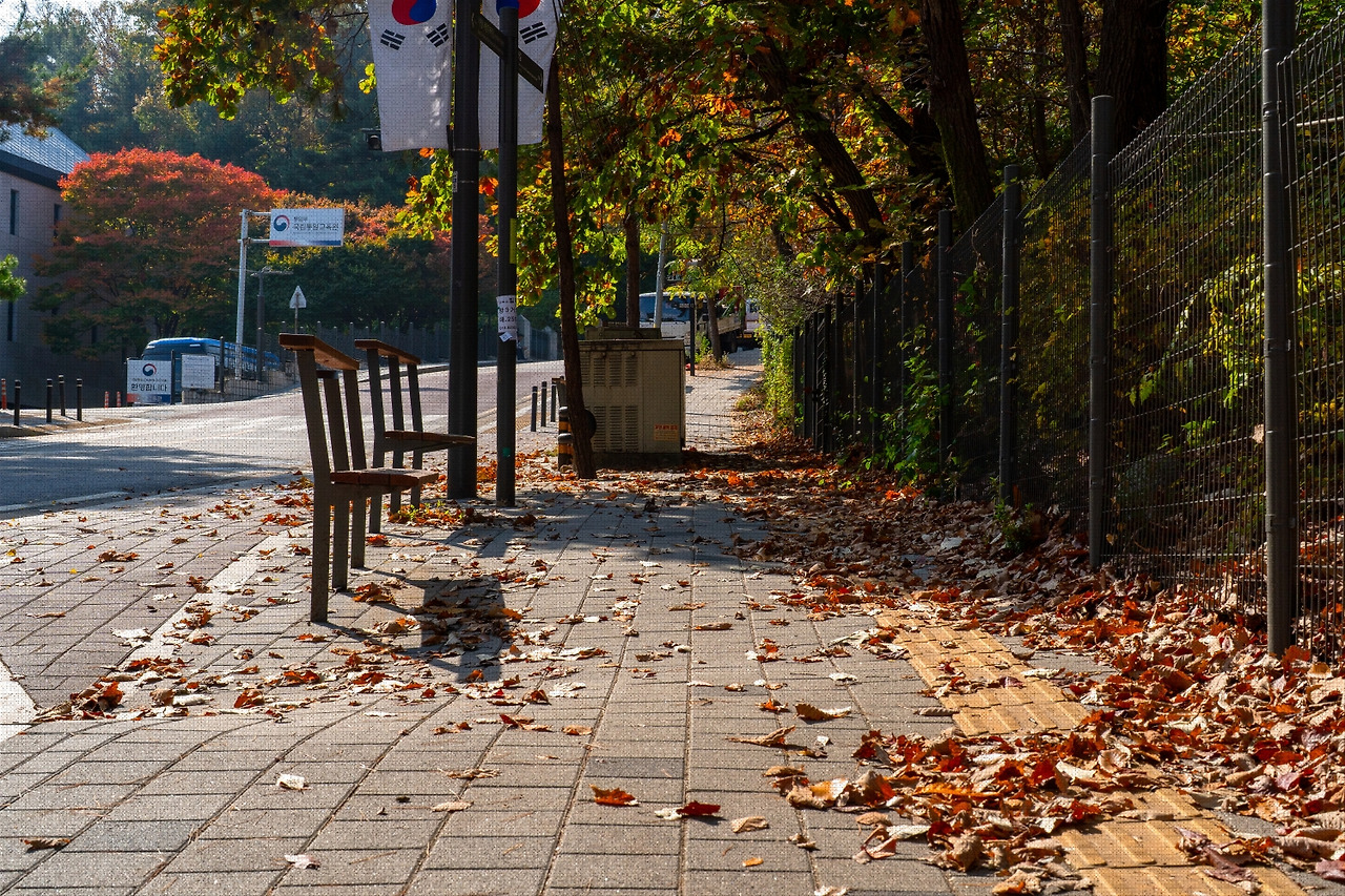 #autumn #16 DSC06505.jpg