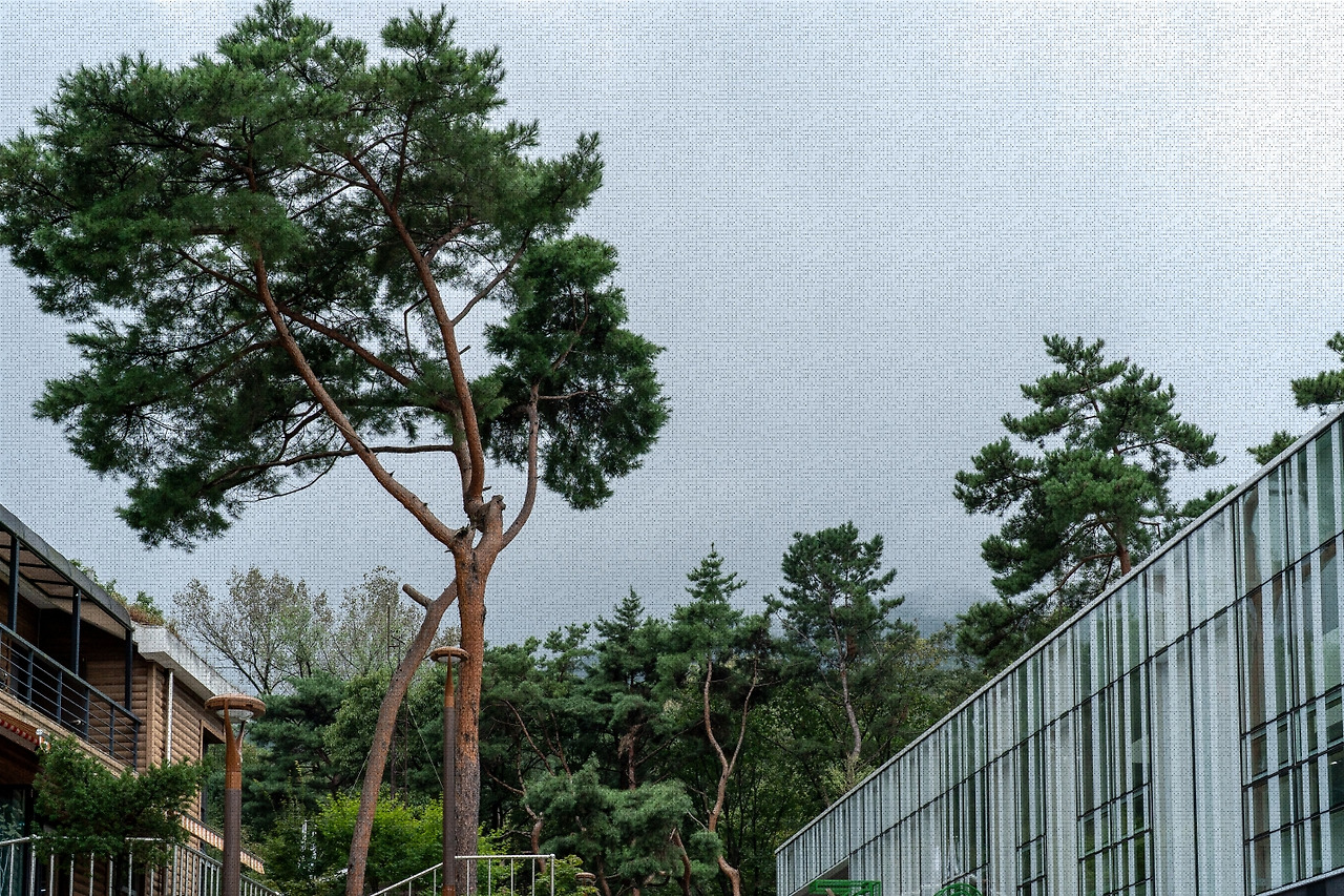 #autumn #10 DSC06027.jpg