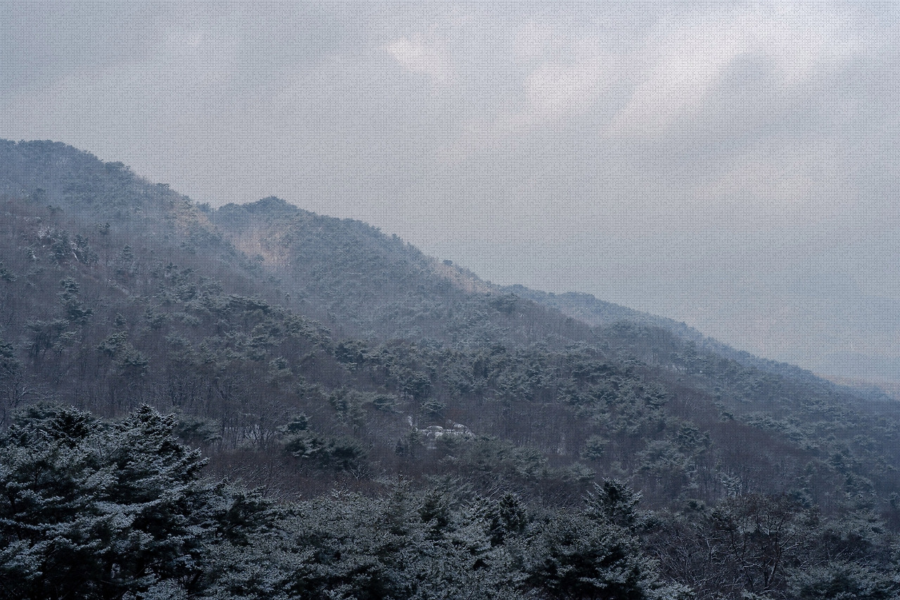 #winter #9 DSC07282.jpg