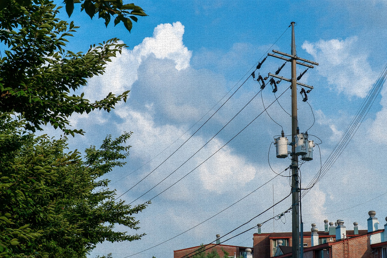 #summer #23 DSC05584.jpg