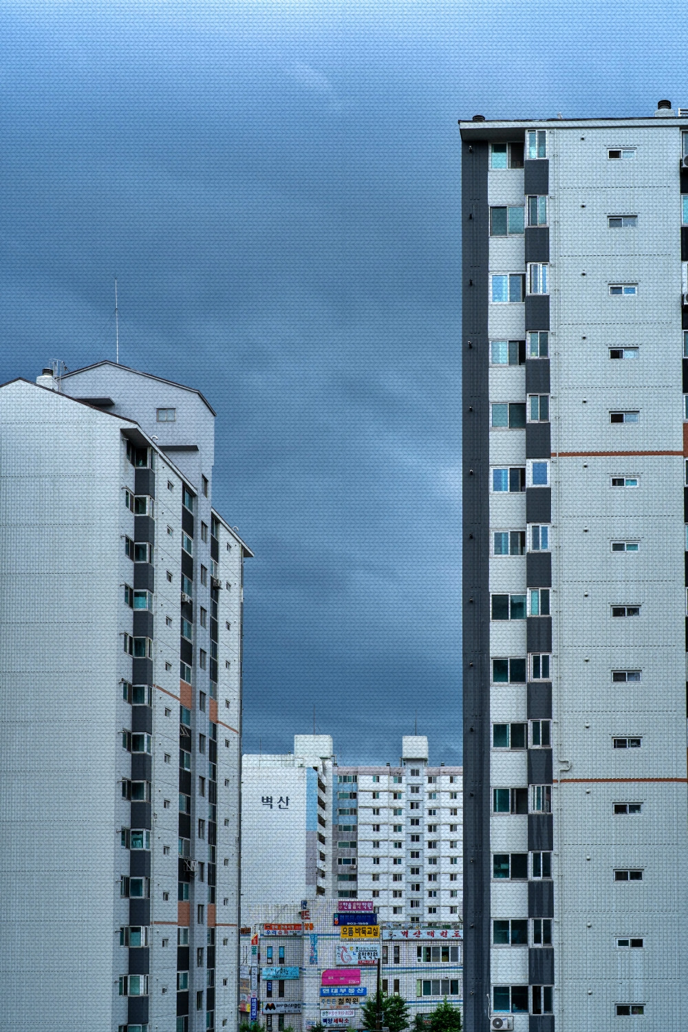 #spring #5 DSC05282.jpg