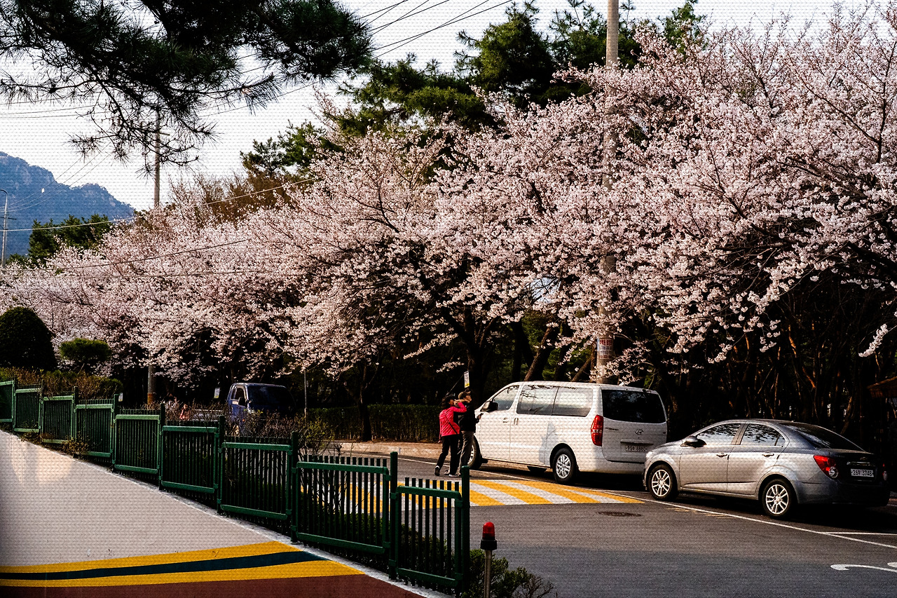 #spring #6 A7C00010.jpg