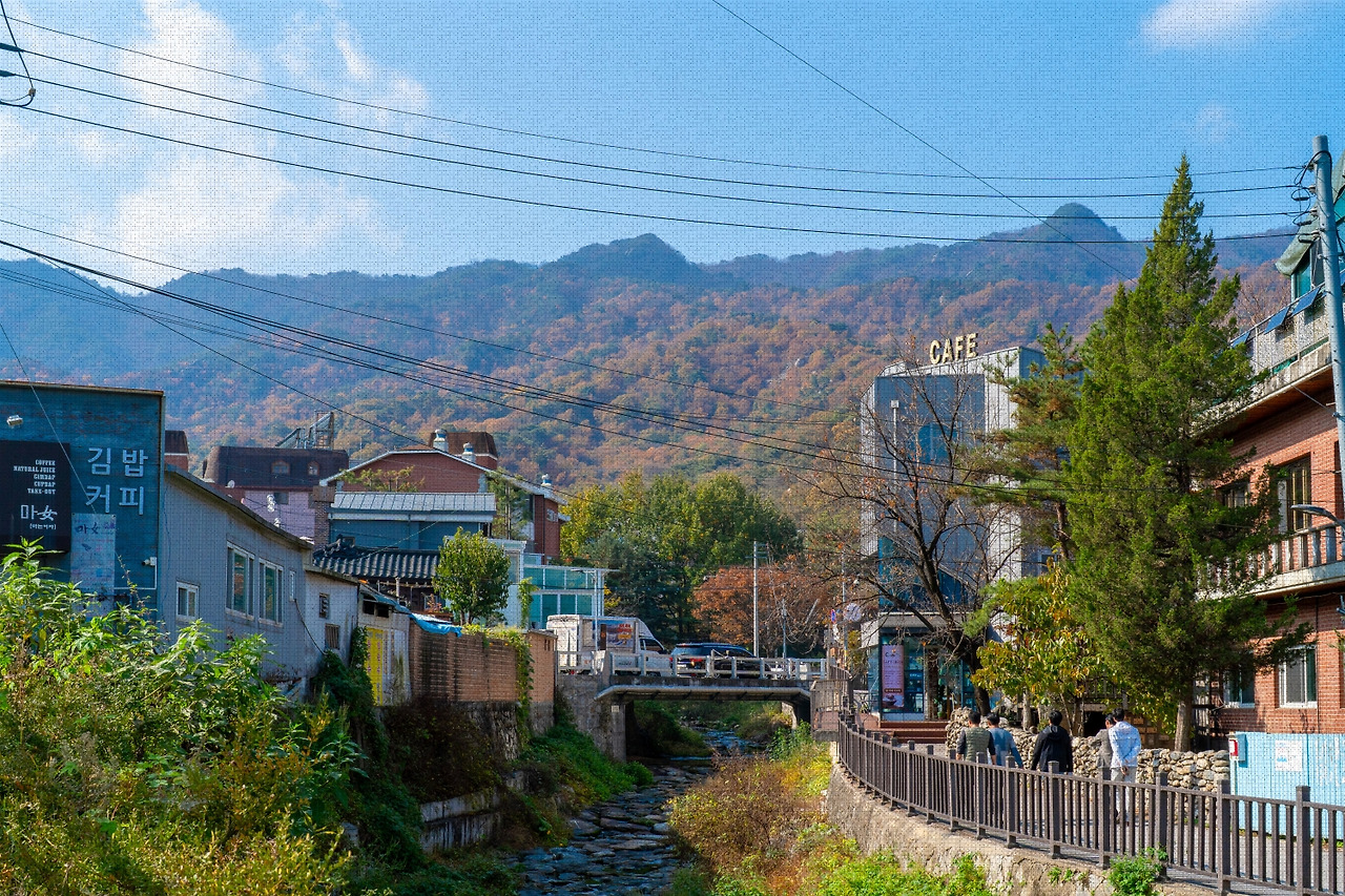 #autumn #21 DSC06489.jpg