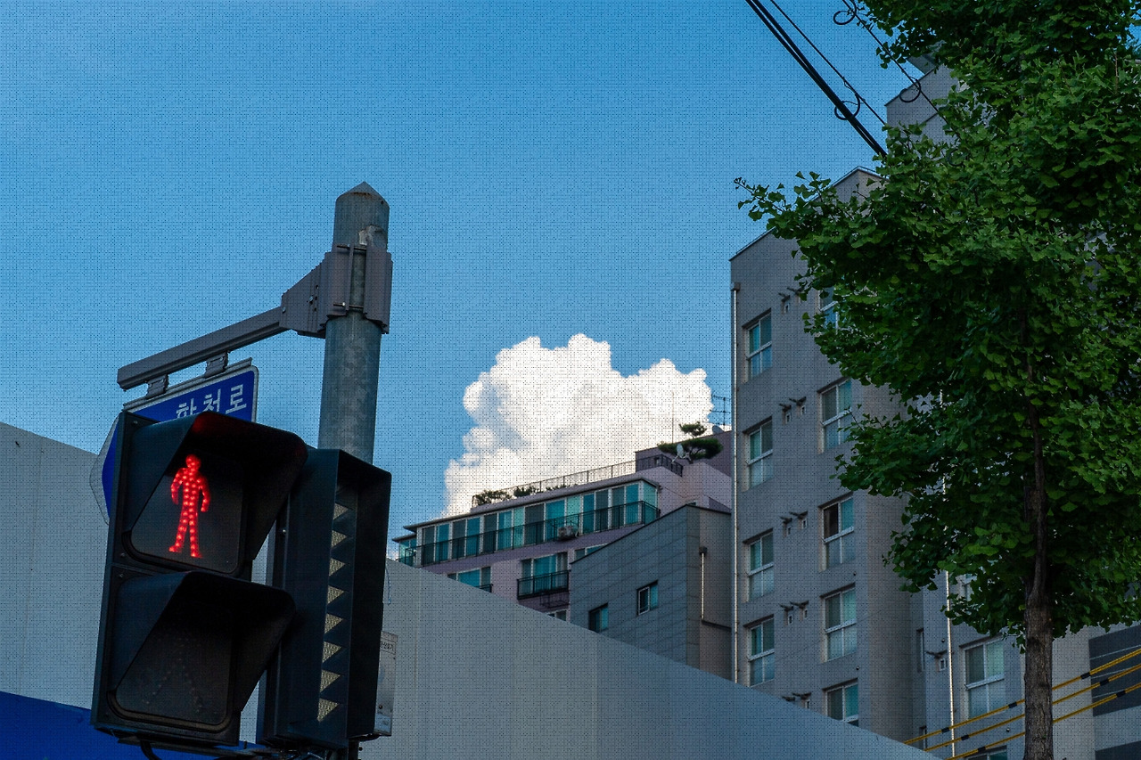 #summer #23 DSC05603.jpg