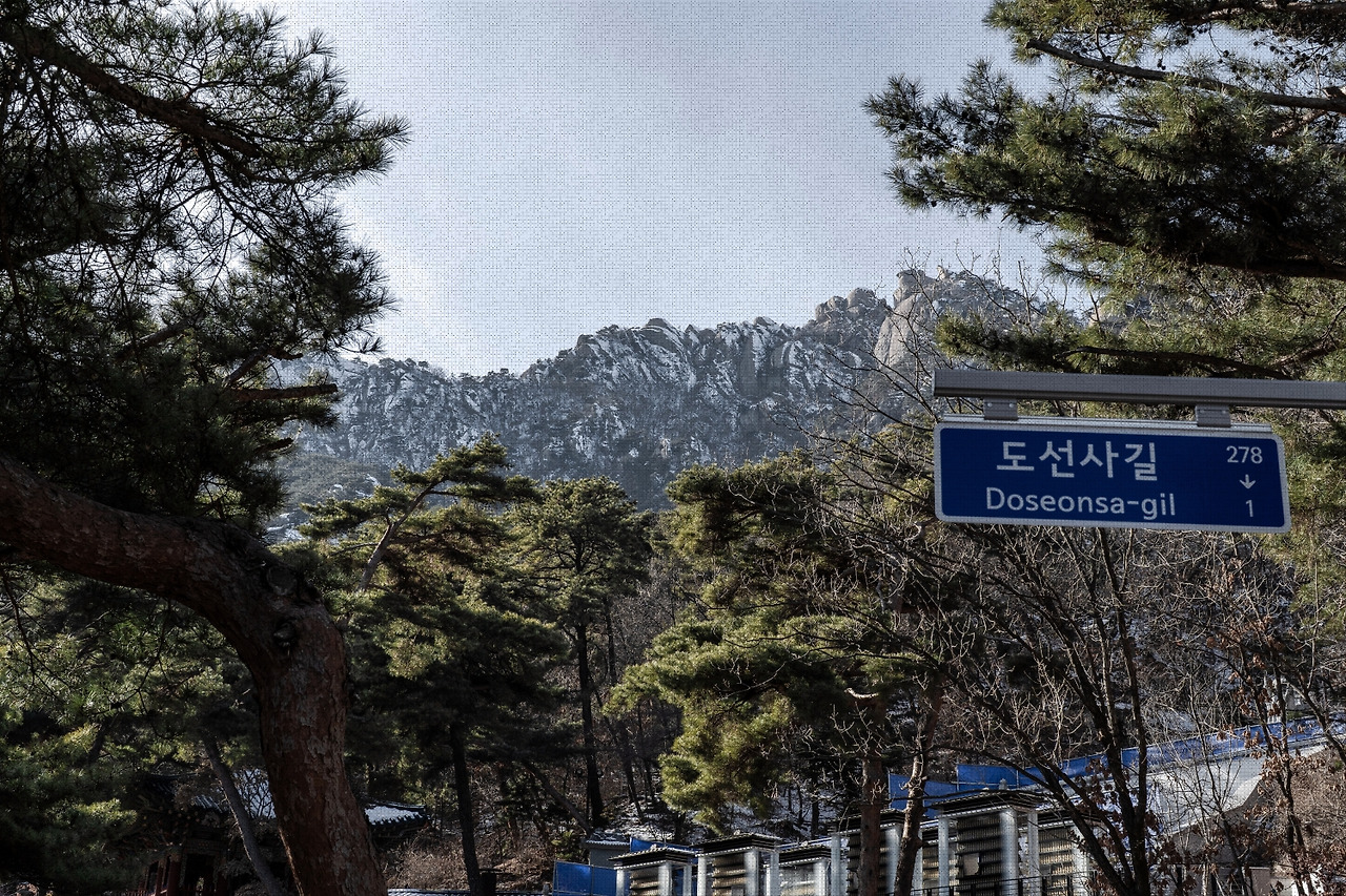 #winter #5 DSC07362.jpg