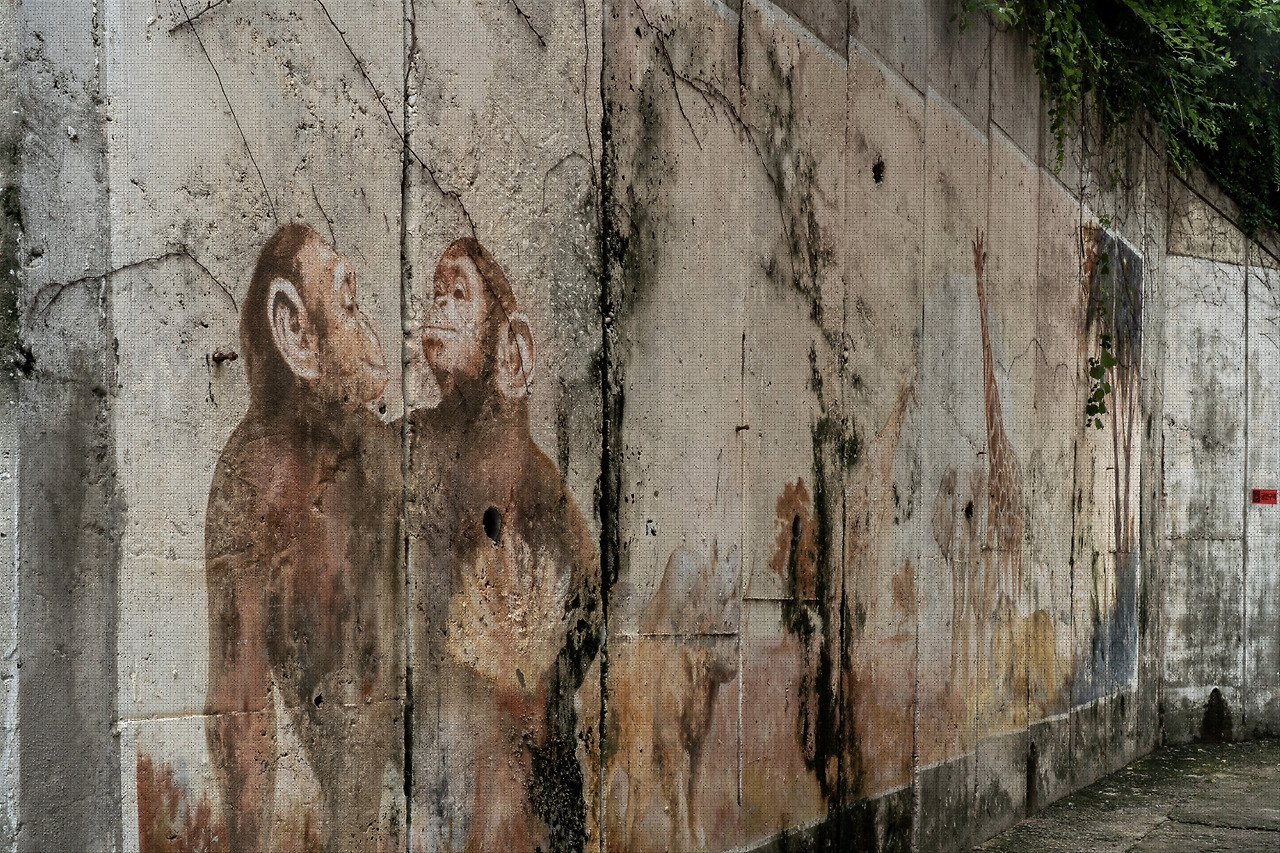 #summer #22 DSC05404.jpg